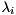 $\lambda_{i}$